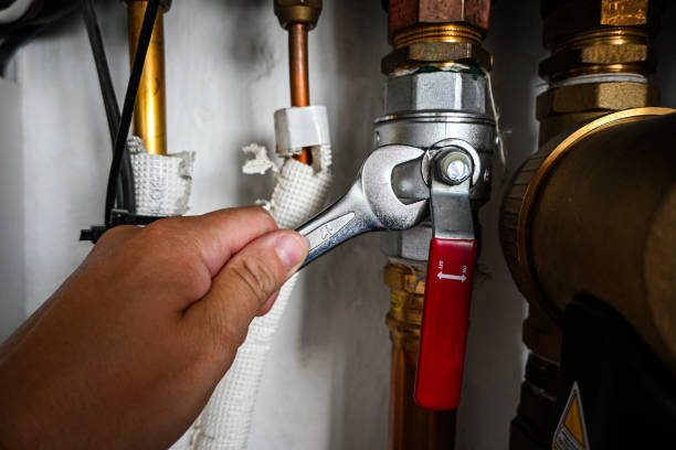 Best Best Plumbers Near Me  in Davison, MI